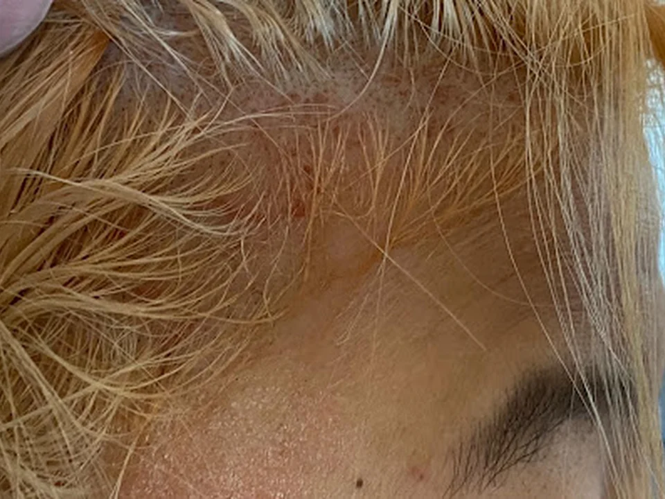 Wella Studio