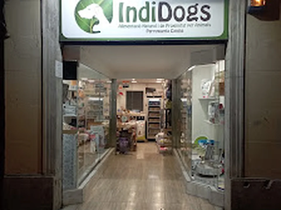 Indi Dogs Perruqueria canina i Botiga de mascotes, Barcelona